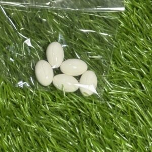 WHITENING CAPSULE 5 PCS