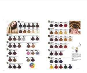 BREMOD HAIR COLOR SHADE CARD