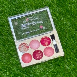 MsYaho Magnificent 6 Colors Blusher & Highlighter Professional Makeup Kit